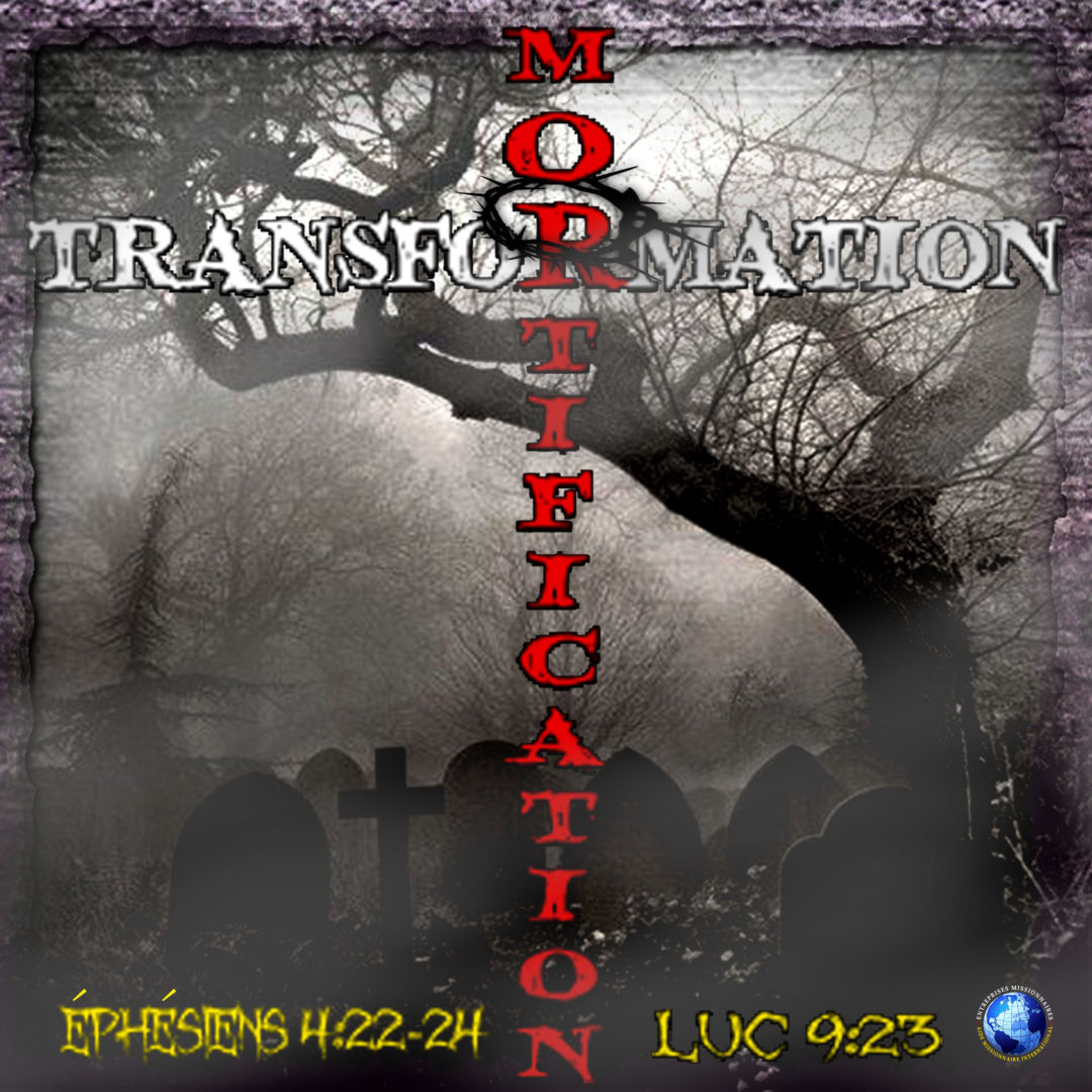 Mortification/Transformation
